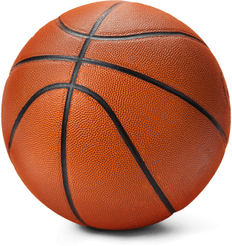 Textured image of basketball vector