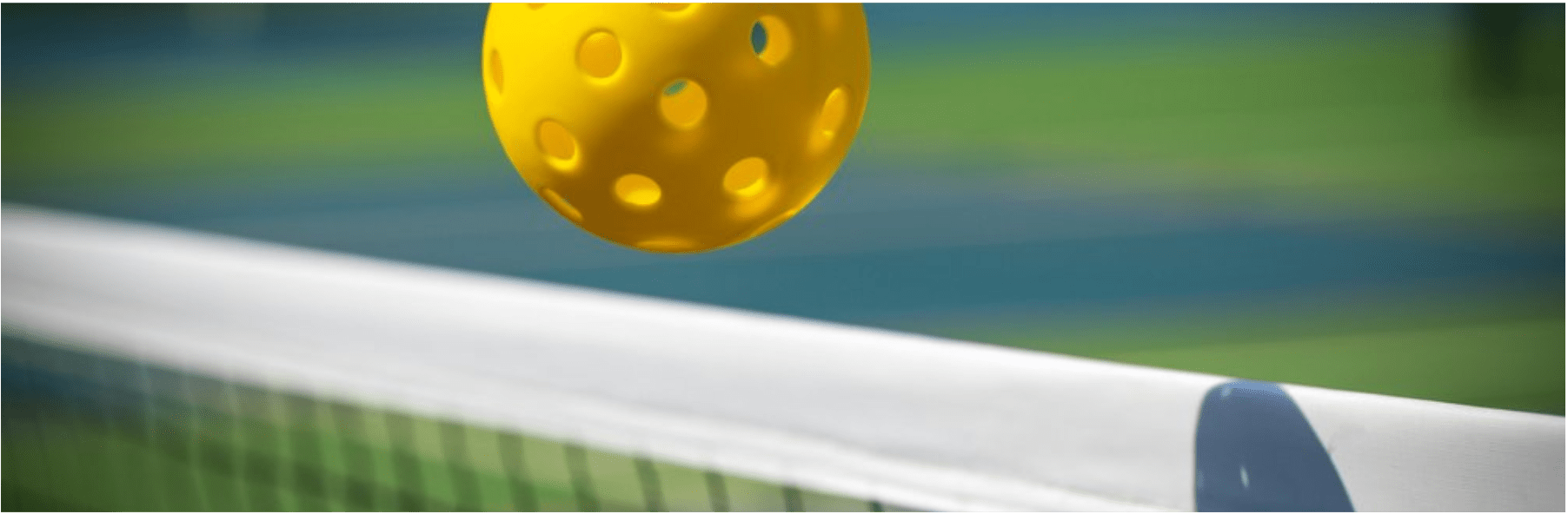 Pickleball barely going over net